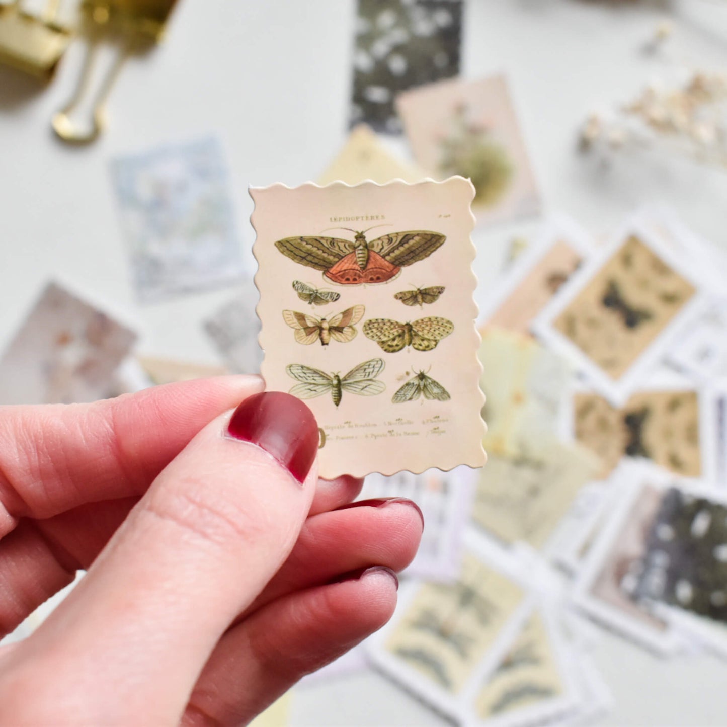 Butterflies & insects stamp sticker set