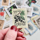 Flowers stamp sticker set