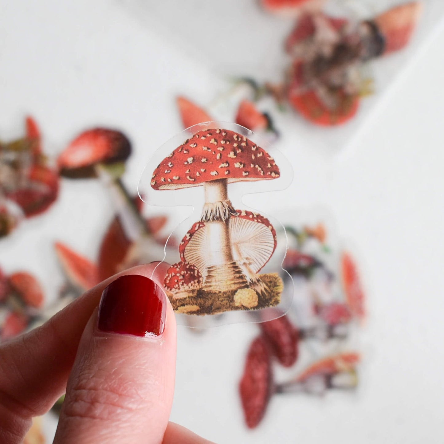 Sticker pack - Mushrooms