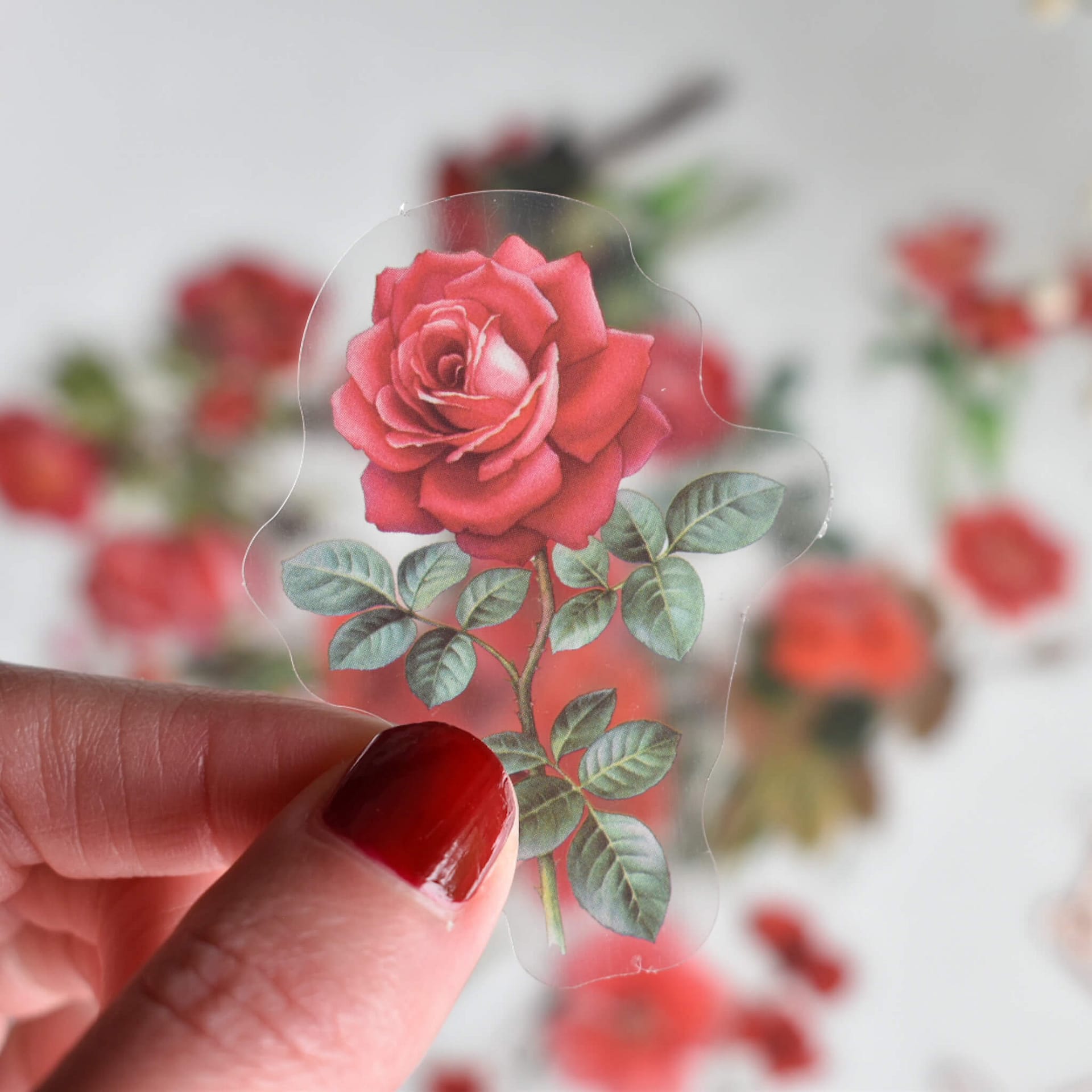 Flower sticker pack - Roses & poppy flowers – Bubblegumfringe