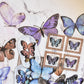Sticker pack - Butterflies