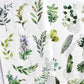 Washi sticker sheets  - Leafy greens