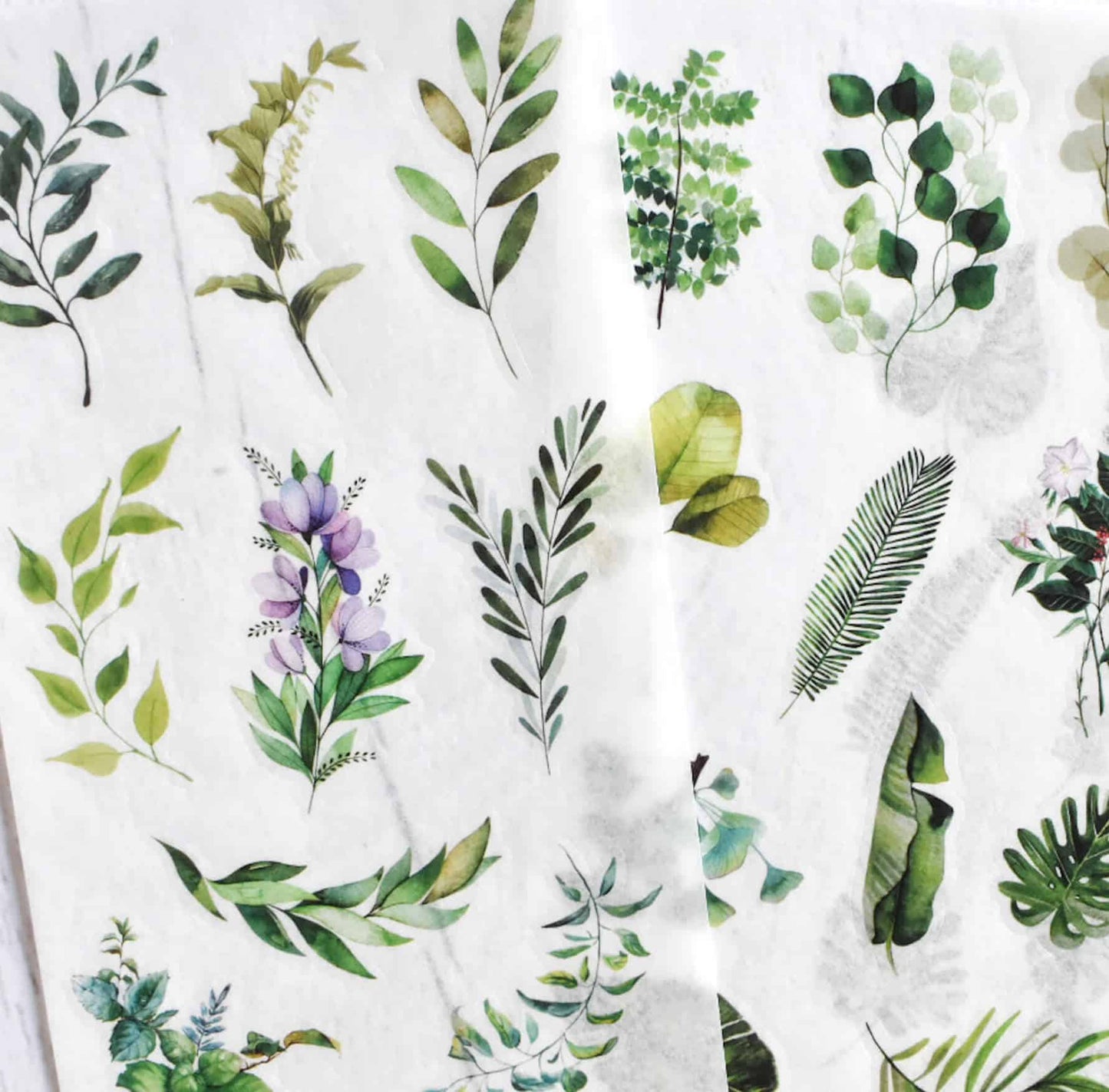 Washi sticker sheets  - Leafy greens