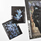 Film sticker packs