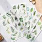 Washi sticker sheets  - Leafy greens
