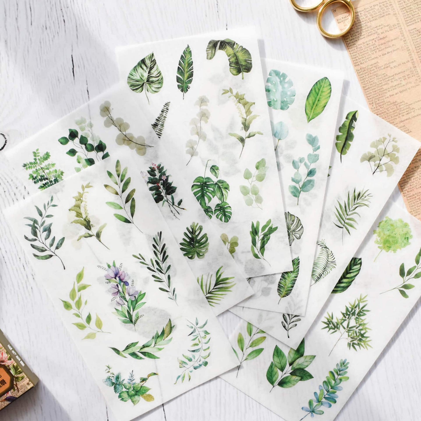 Washi sticker sheets  - Leafy greens