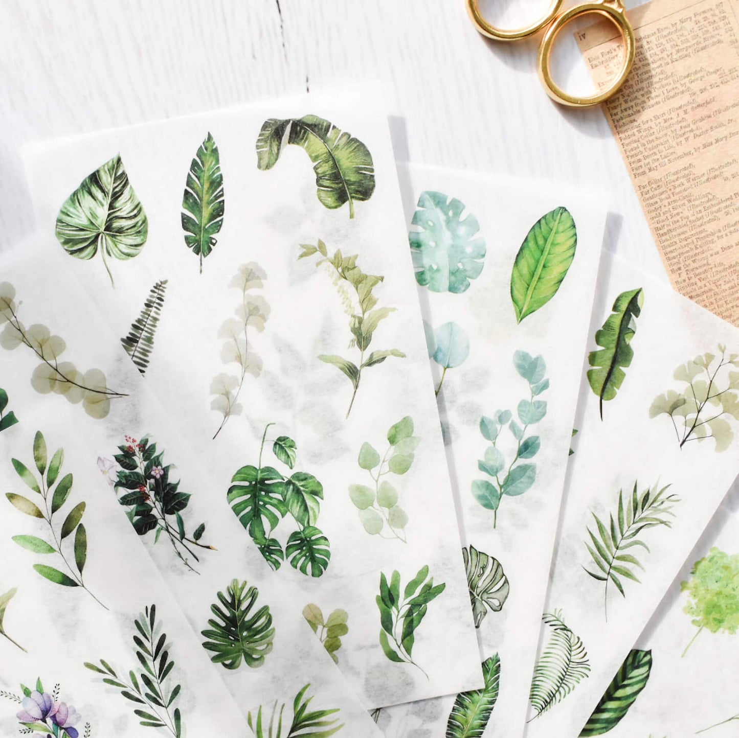 Washi sticker sheets  - Leafy greens
