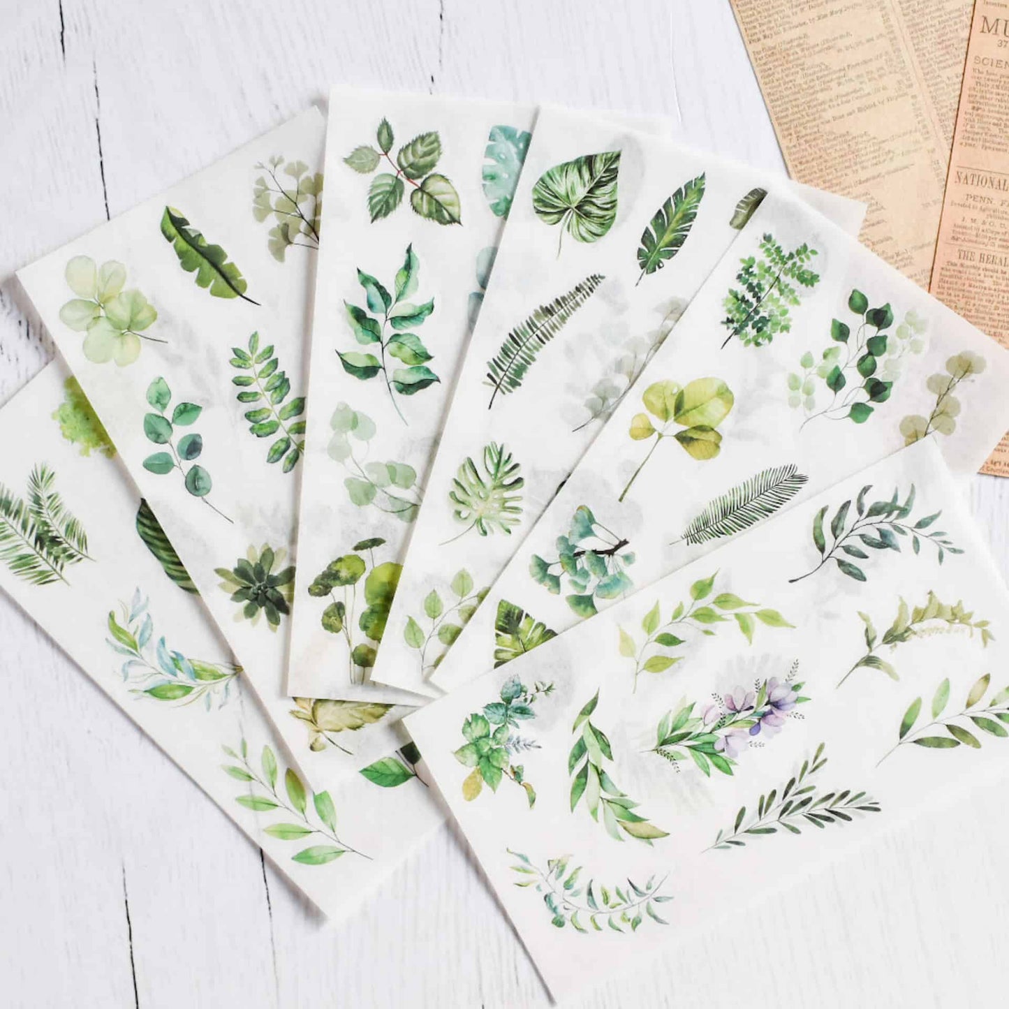 Washi sticker sheets  - Leafy greens