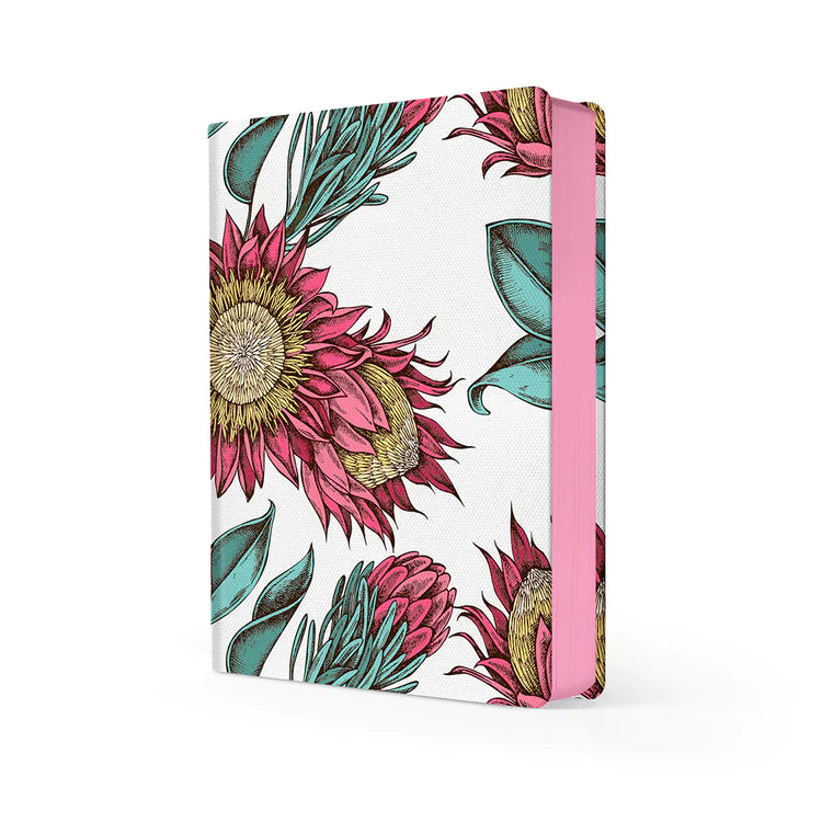 MultiPlanner - Protea