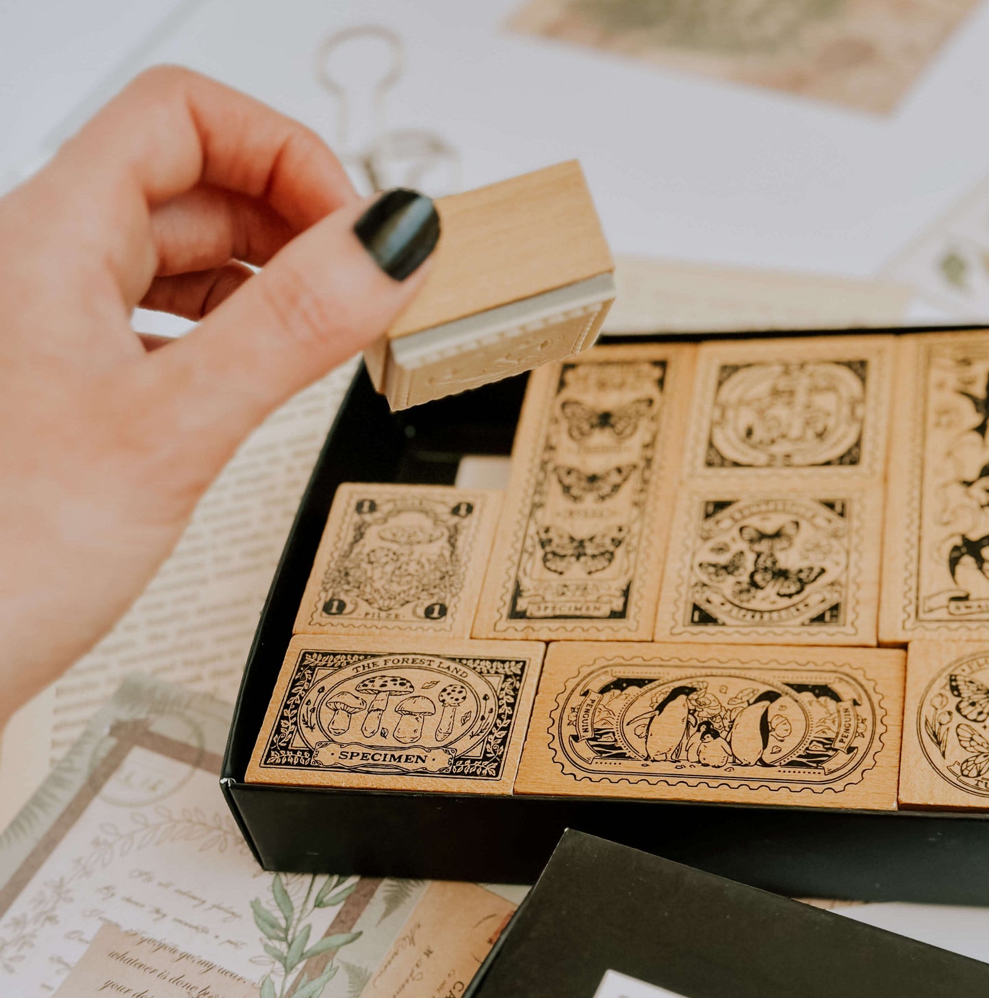 Wooden stamp set - Mystical butterfly & mushrooms