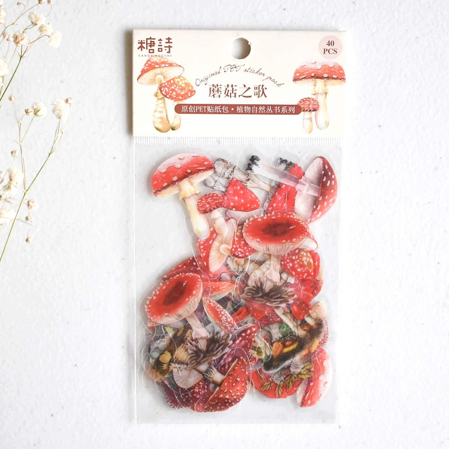 Sticker pack - Mushrooms