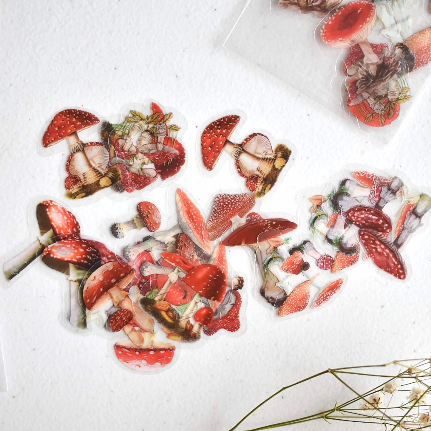 Sticker pack - Mushrooms