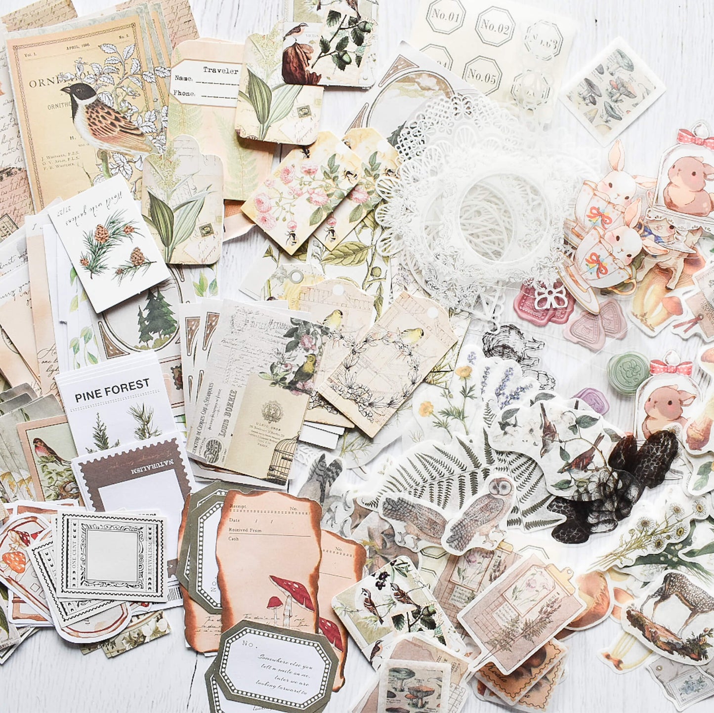 Nature themed mega ephemera bundle - 260pcs